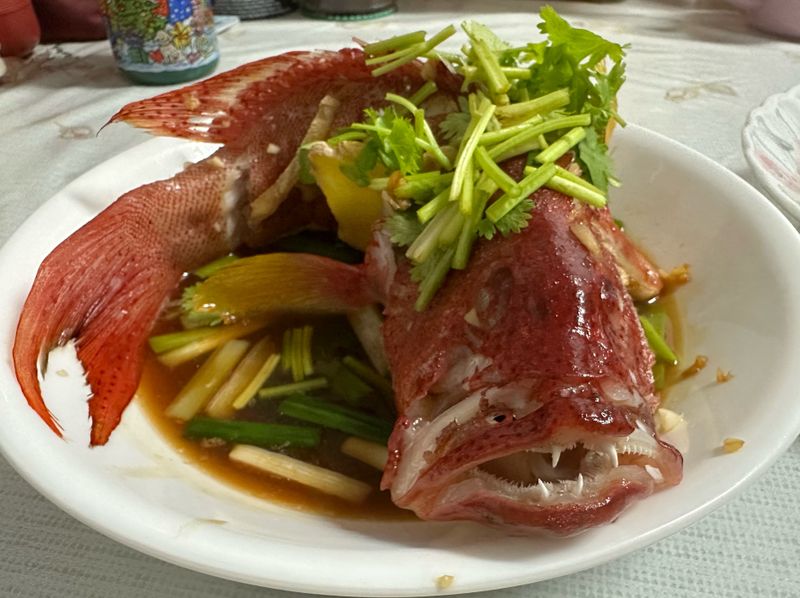 清蒸紅條