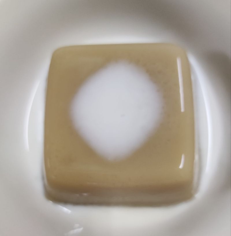 蜜香紅茶凍
