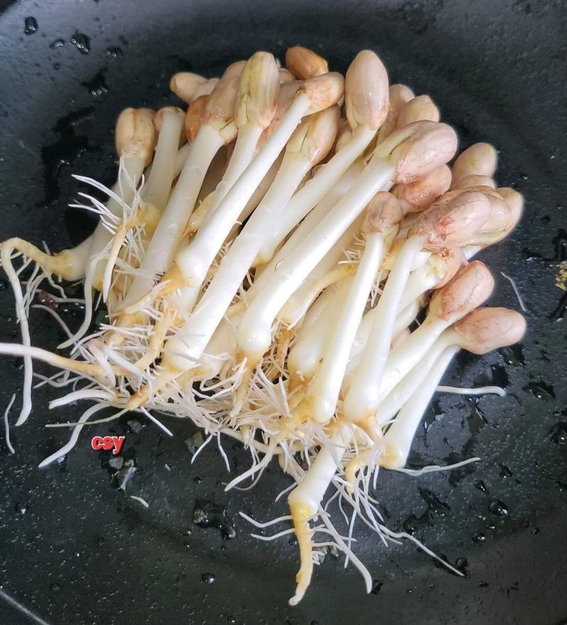 甜脆花生芽