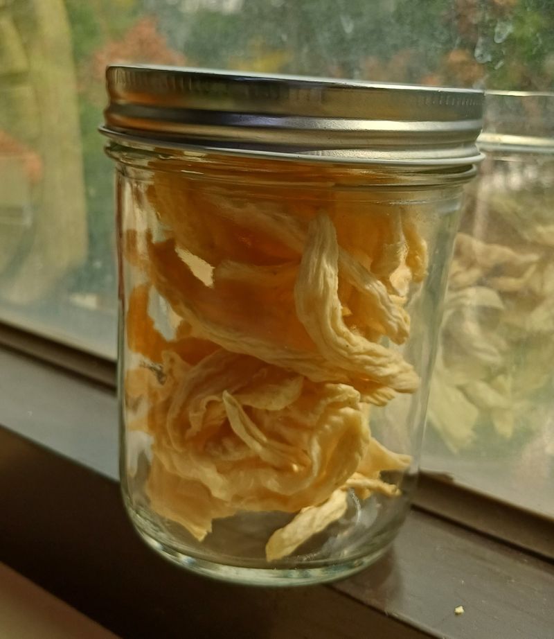 菜脯