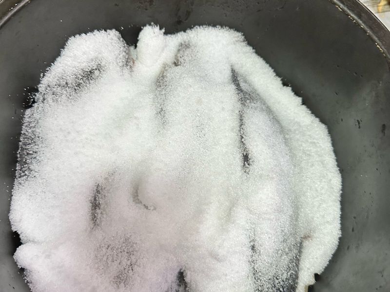 氣炸鹽烤魚