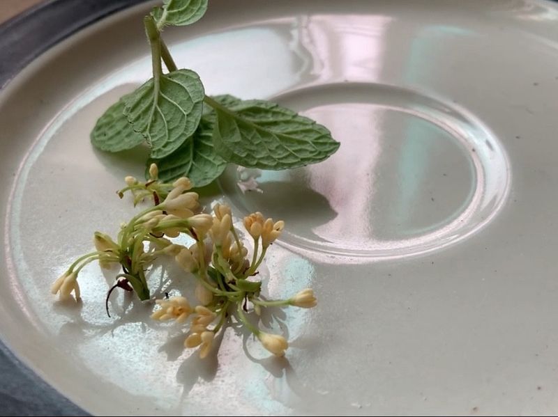 桂花蜂蜜茶