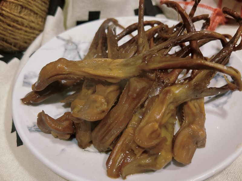 魯鴨舌