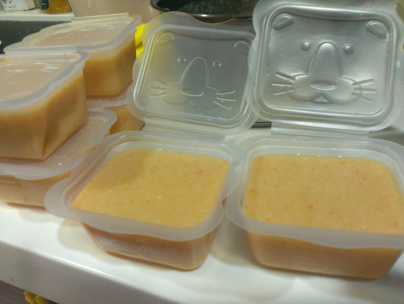 品靚上菜-寶寶副食品-香魚胡蘿蔔粥