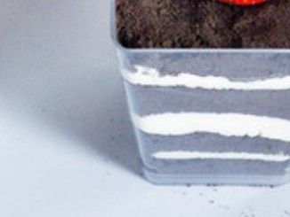 Oreo木糠布丁