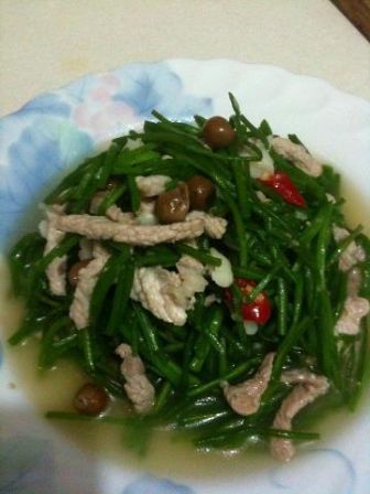 樹子水蓮