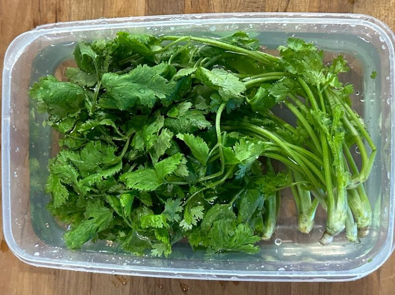 香菜保存方法