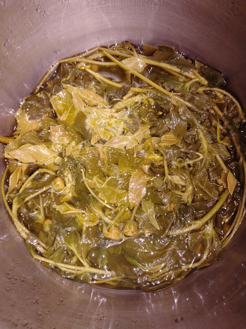 自製青草茶