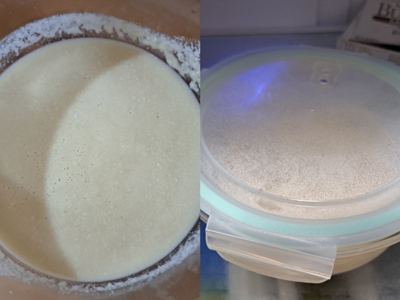 星野酵母(赤種)起種作法