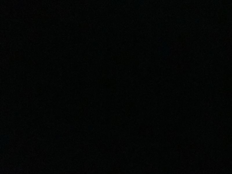 臘腸