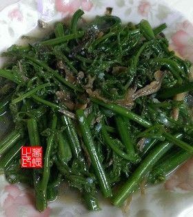 炒過貓