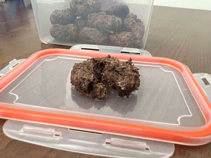 🍪 燕麥朱古力曲奇