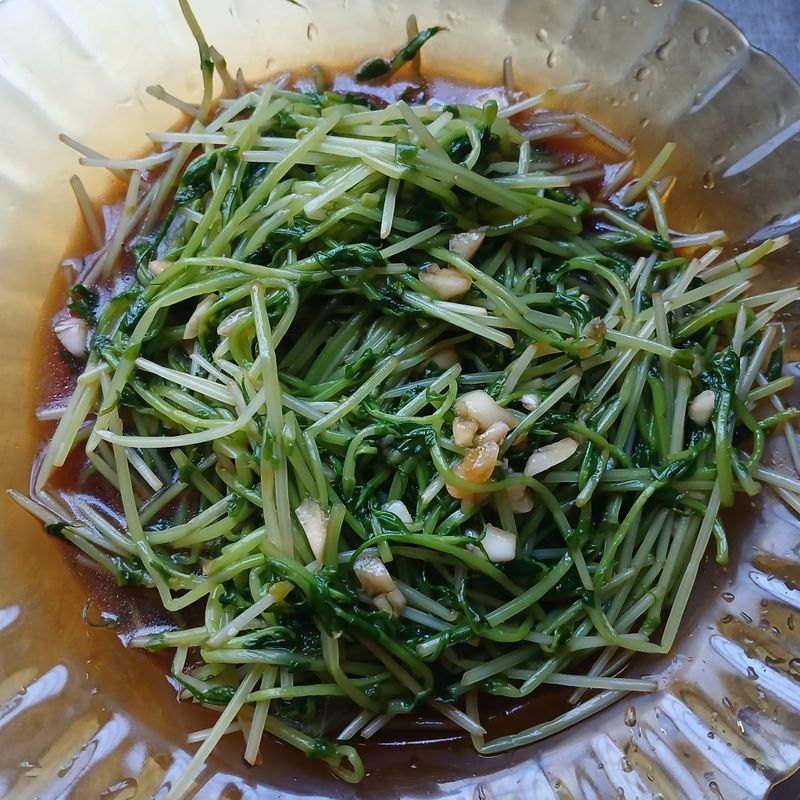 涼拌綠芽菜