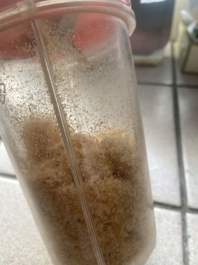 自製麵包屑