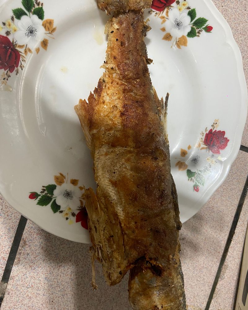 煎午魚