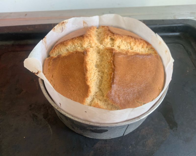 高山茶戚風蛋糕