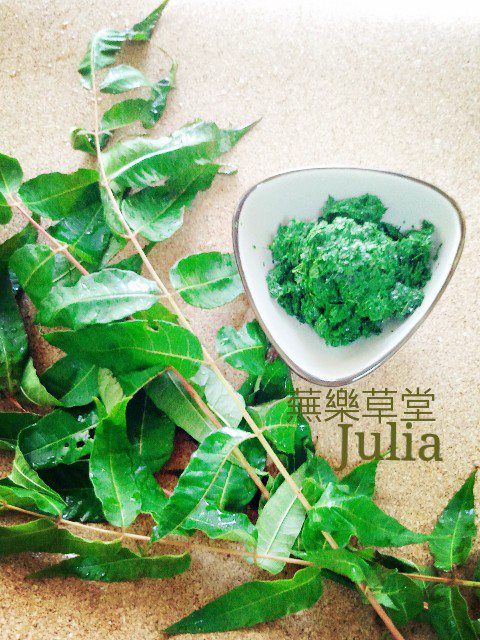 【長壽康健●玩味香椿醬】