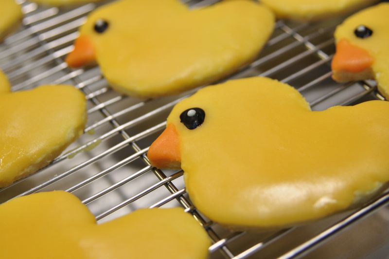 黃色小鴨餅乾 | Yellow Duck Cookies