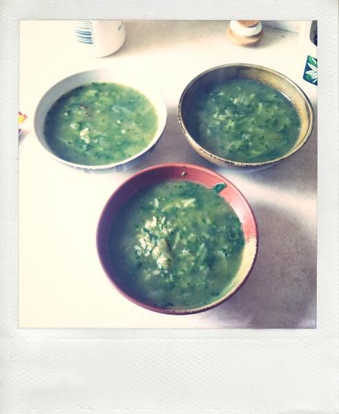 ｜湯｜Stinging Nettle Soup 咬人貓之湯。（詭異）