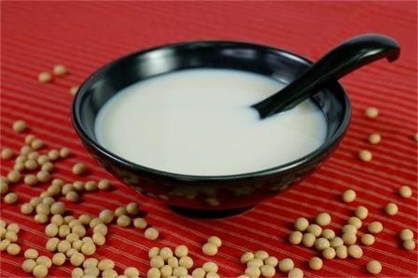 健康豆漿《日正健康廚房》