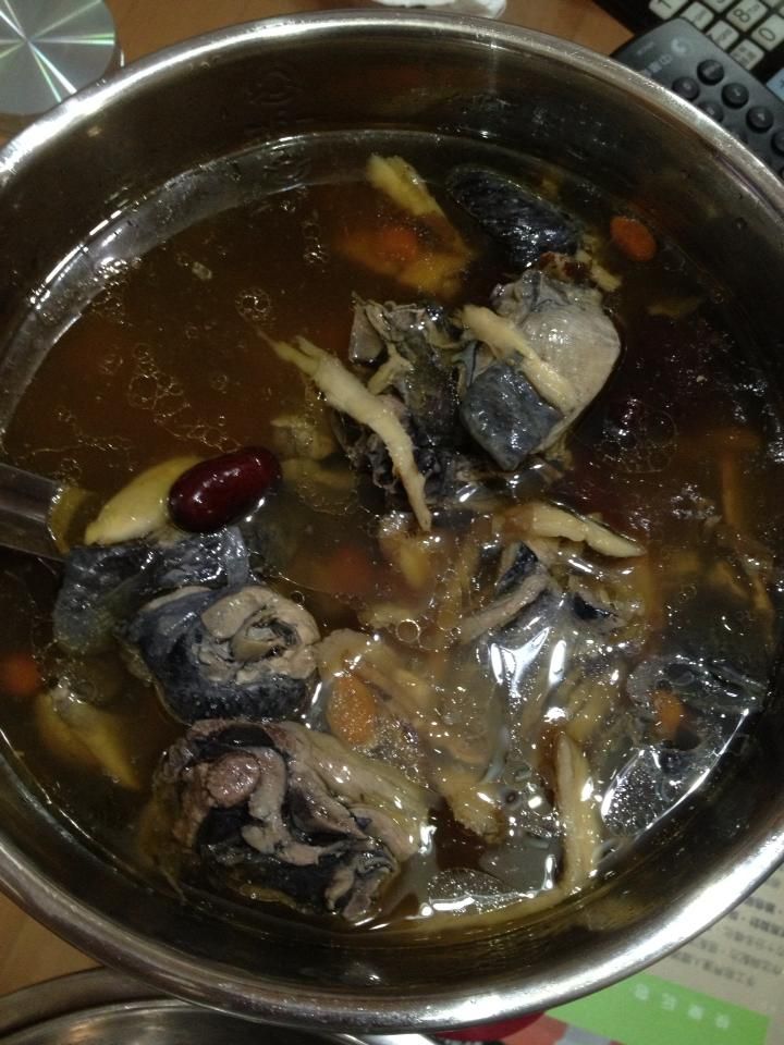 養生雞湯