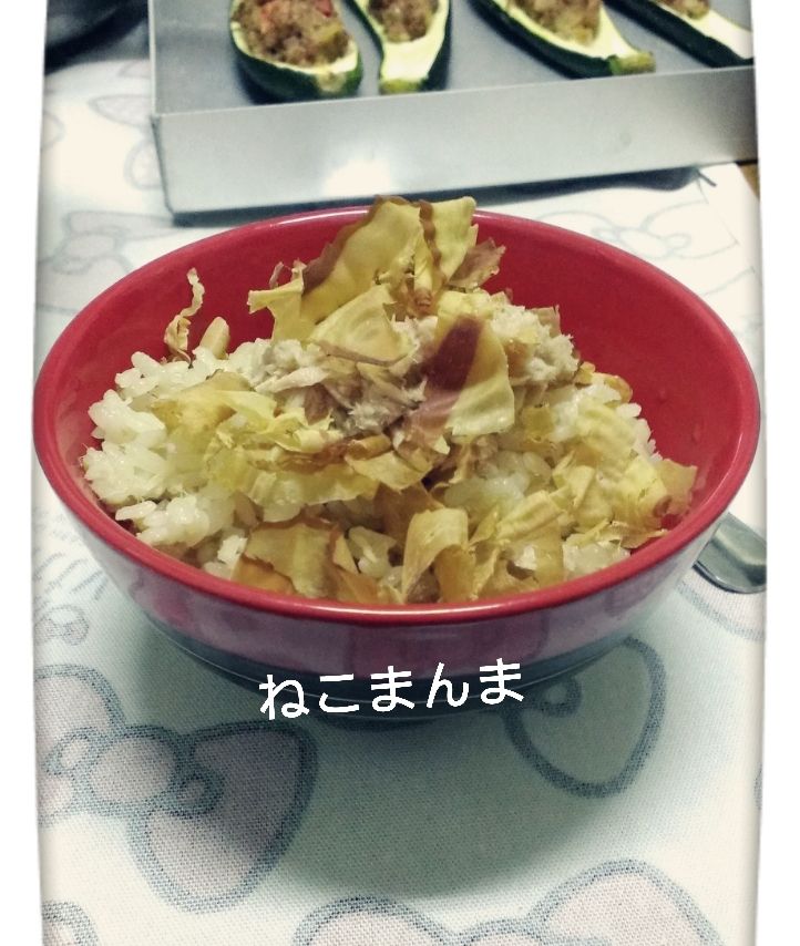 我愛貓飯