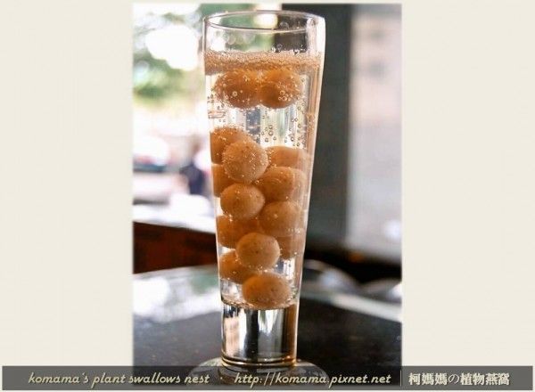 黑Q雪碧飲.柯媽媽の植物燕窩