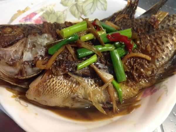 紅燒吳郭魚