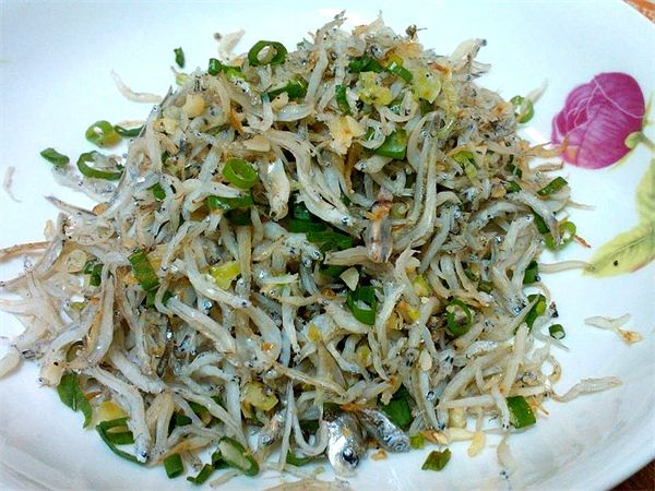 翡翠吻魚