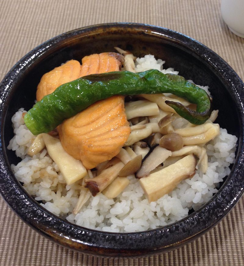 醬燒鮭魚丼