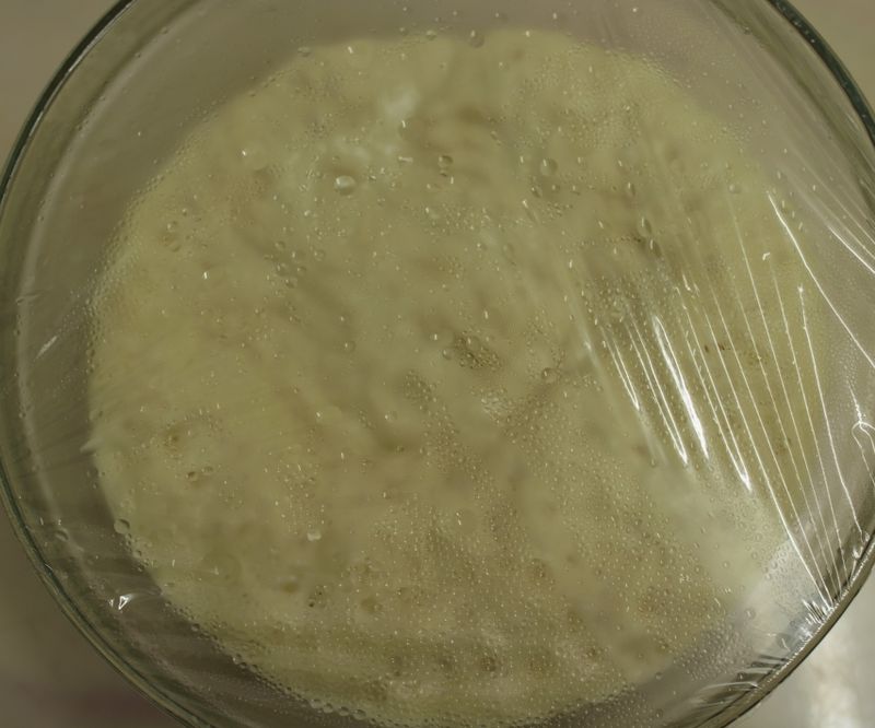 讓麵包饅頭增加軟度咬勁-老麵