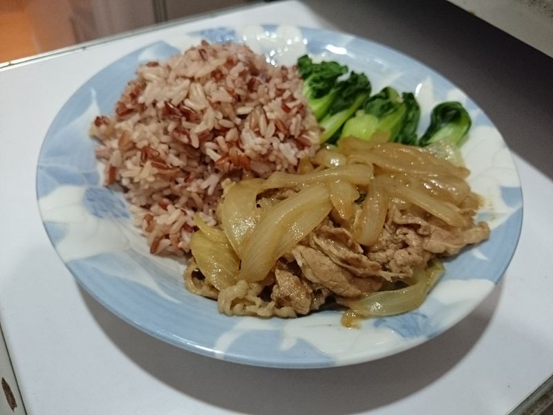 日式牛肉飯