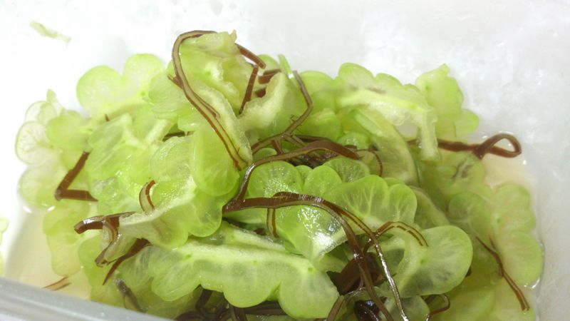 梅酒涼拌苦瓜