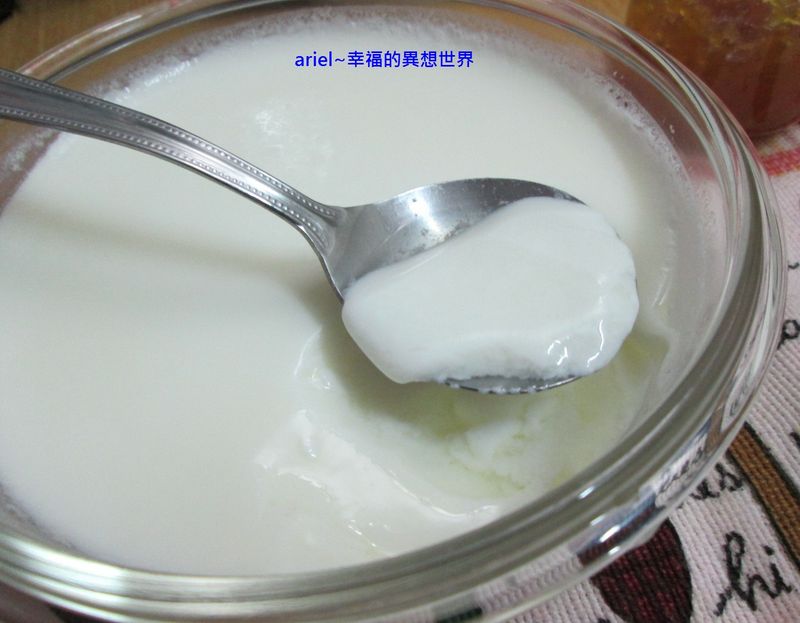 自做優格(用電鍋)~用奶粉