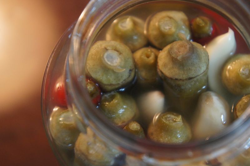 秋葵泡菜(fermented okra)