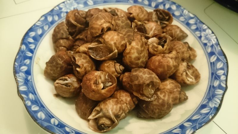 胡椒鳳螺