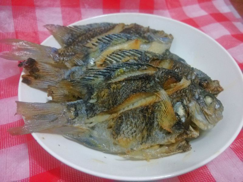 原味香煎鯛魚