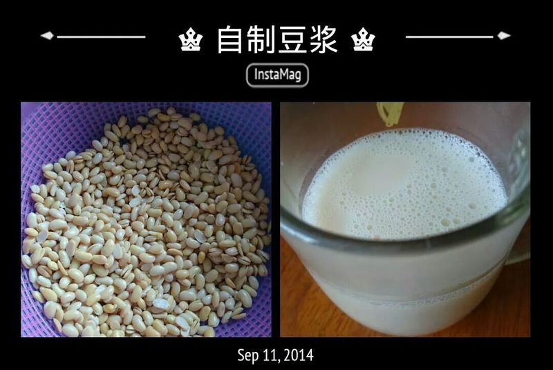自制豆浆水