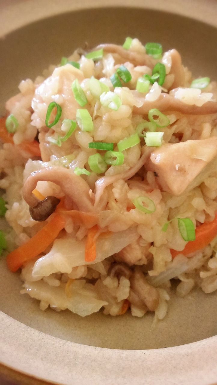 田園雞肉炊飯
