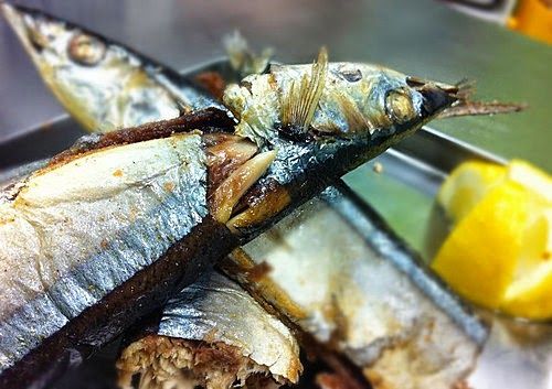 鹽烤秋刀魚