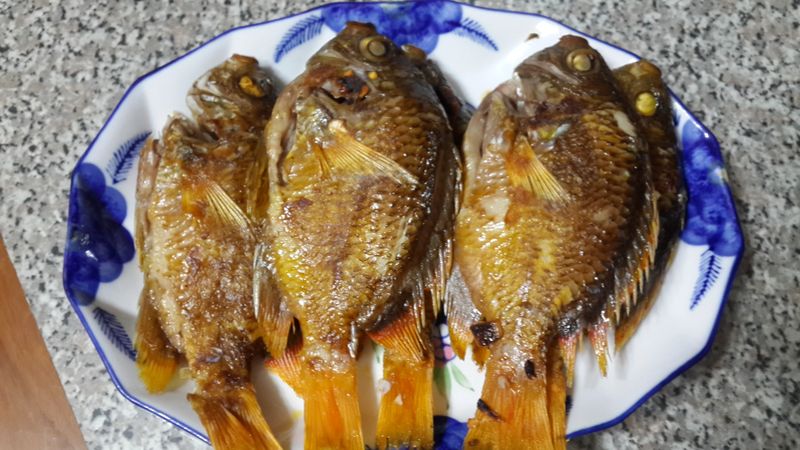 乾煎黃厚殼魚