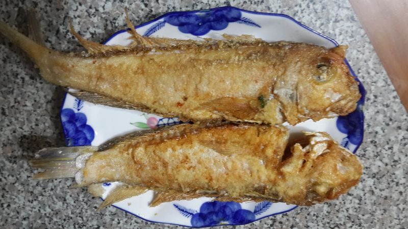煎馬頭魚~