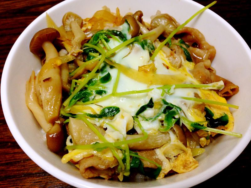 日式豬肉丼