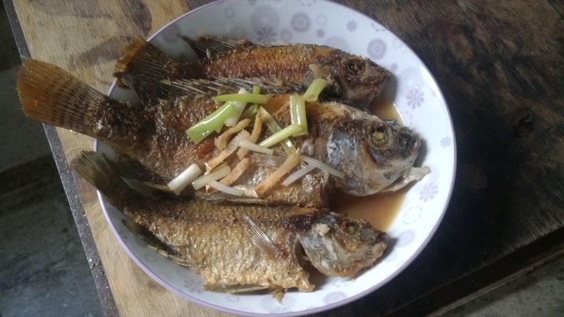 簡單做-紅燒魚