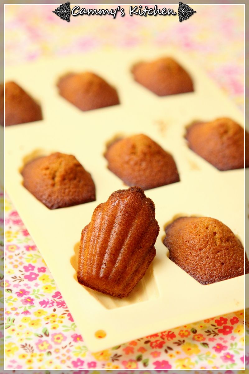瑪德琳 madeleine