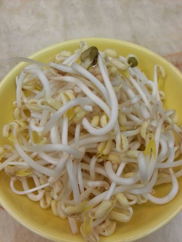 孵甜豆芽菜