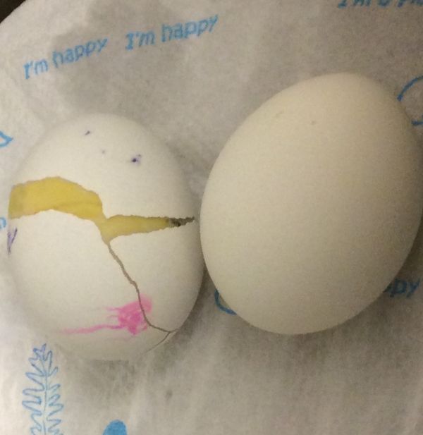黃金蛋～自製轉蛋器～黃金水煮蛋