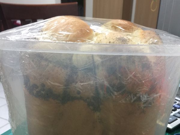 鮮奶油全麥吐司