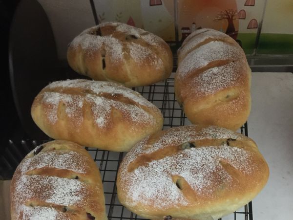 第一次作歐包：蔓越梅乳酪歐包