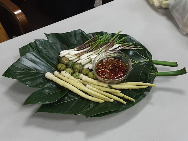 路蕎茄輪箭鍾情